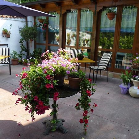 Casa Dodic Bed & Breakfast Trieste Exterior photo